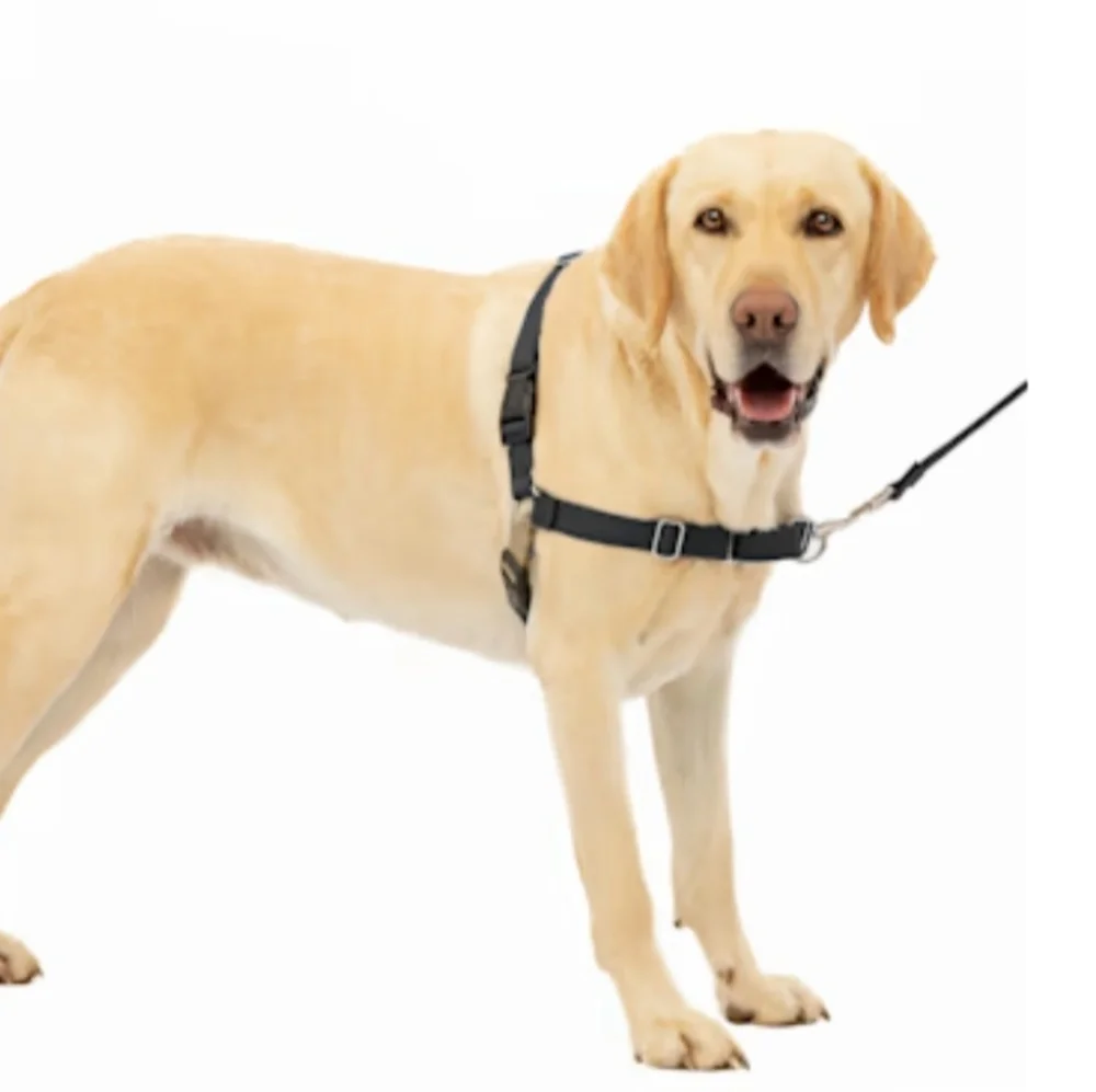 NWT Pet safe Easy walk dog harness size M/L black